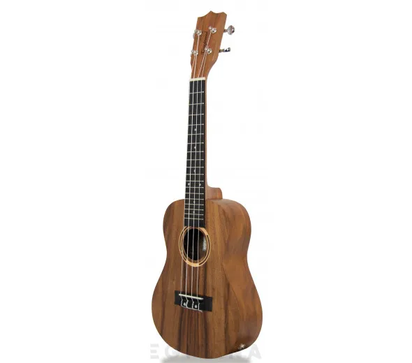 tanglewood-twt-8-e_6061a668731b8.webp