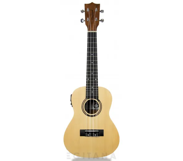 tanglewood-twt-9-e_605e27cdb41ea.webp