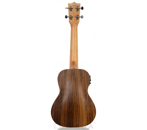 tanglewood-twt-9-e_605e27ce91088.webp