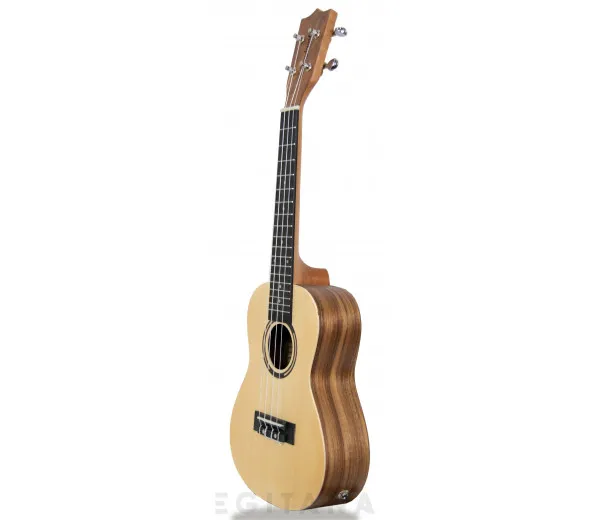 tanglewood-twt-9-e_605e27cf7072d.webp