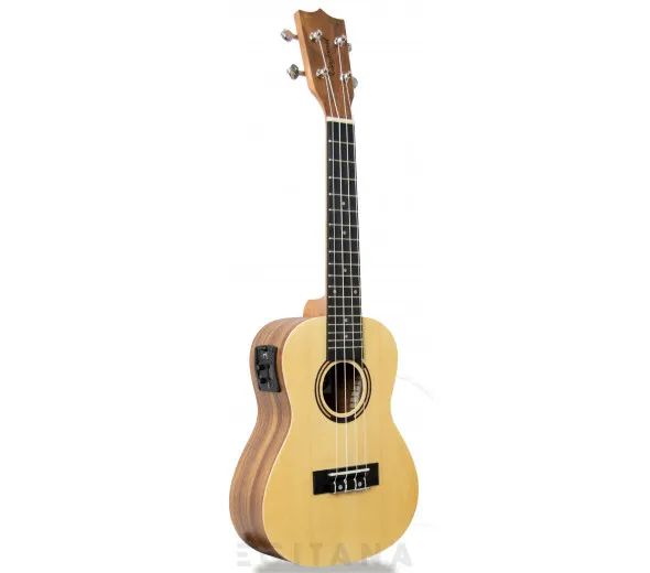 tanglewood-twt-9-e_605e27d04d21e.webp