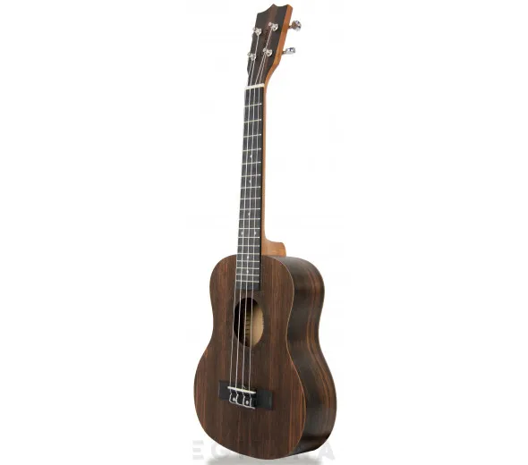 tanglewood-twt19_606196867b2c8.webp