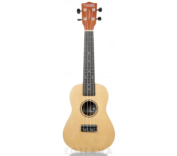 tanglewood-twtcp-na_604a323aa2626.webp