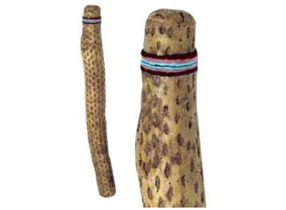 terre-pau-de-chuva-cacto-75-cm_5def7f655517d.webp