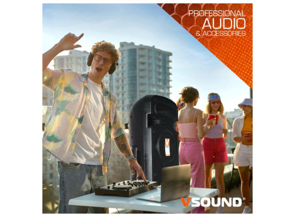 vsound-vss215-2x15_6996d590ce6d2.jpg