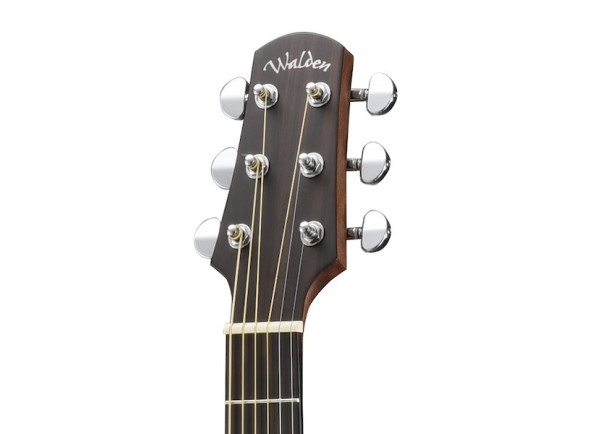 walden-t350w_67d30d1e674b7.jpg