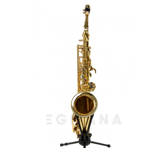 wisemann-das-350_601d7bd7e86fb.webp