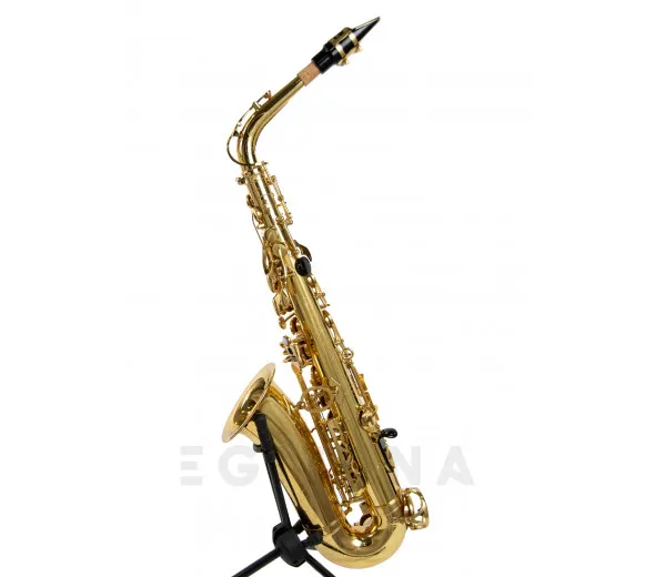 wisemann-das-350_601d7bd91b4ae.webp