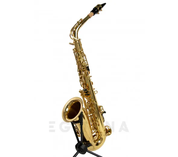 wisemann-das-350_601d7bda44e48.webp