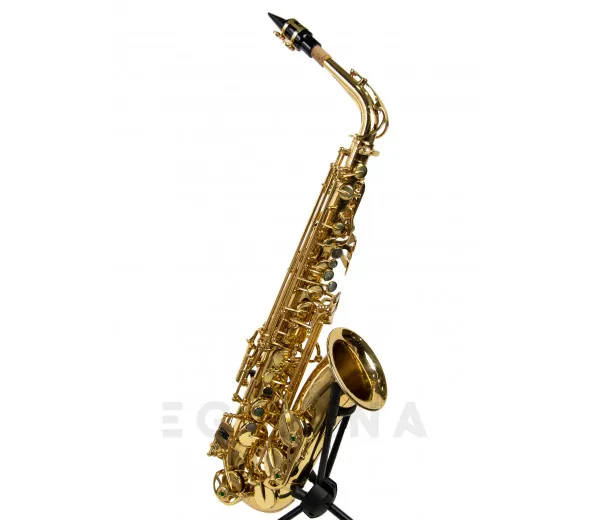 wisemann-das-350_601d7bdda8bd8.webp