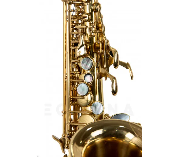 wisemann-dss-c300_6018315c26d30.webp