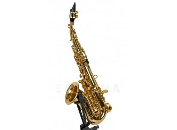 wisemann-dss-c300_603d1b562a83d.webp