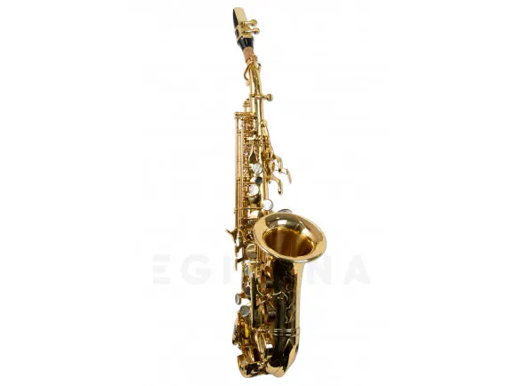 wisemann-dss-c300_603d1b57403d6.webp