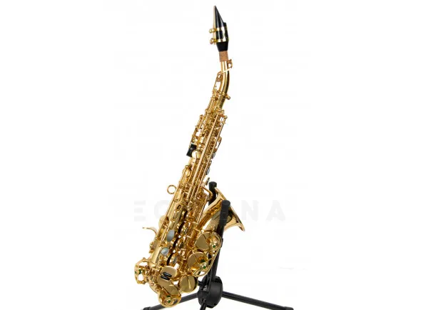 wisemann-dss-c300_603d1b5854f70.webp