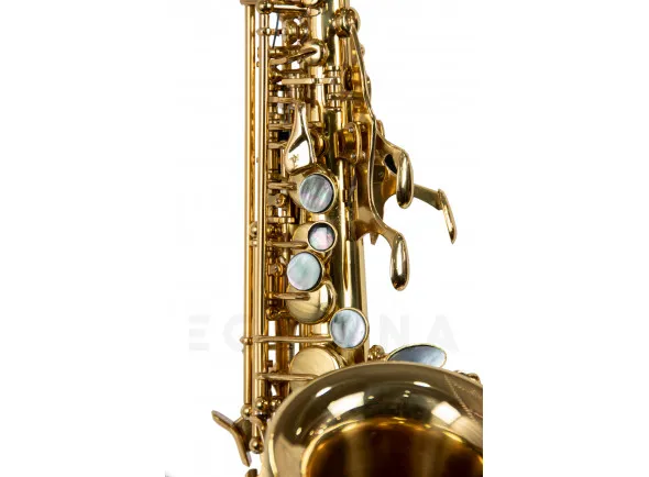 wisemann-dss-c300_603d1b5ae7750.webp