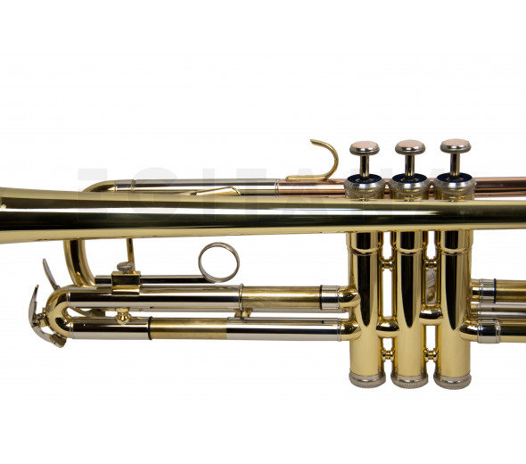 Wisemann DTR-200