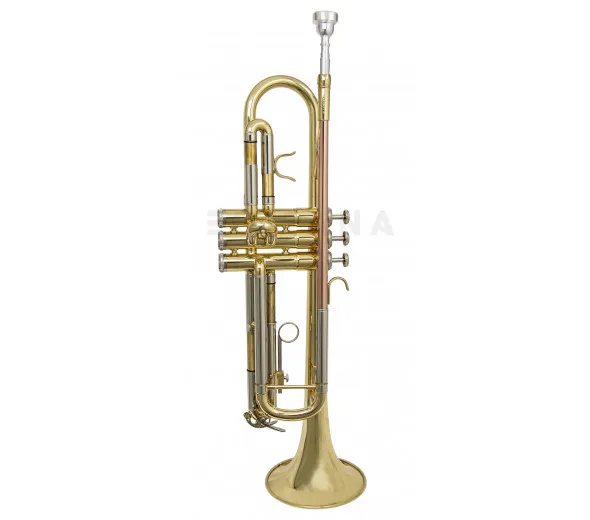 wisemann-dtr-200_601d7c7b3aa6b.webp