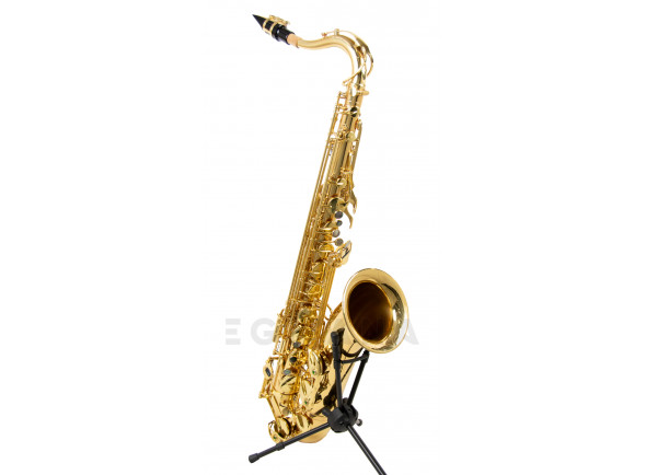 Wisemann DTS-350