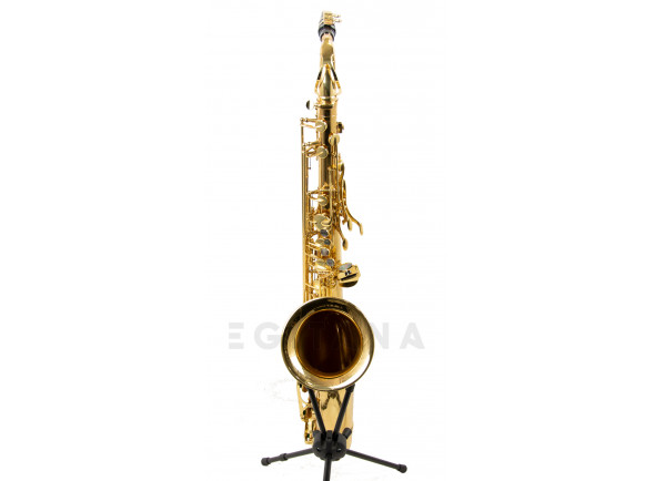 Wisemann DTS-350