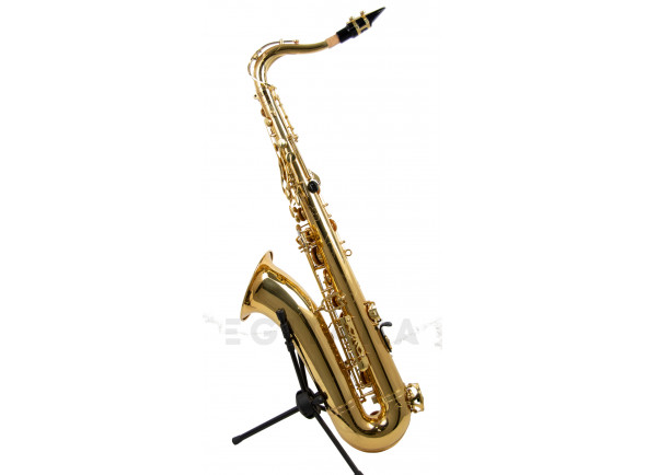 Wisemann DTS-350