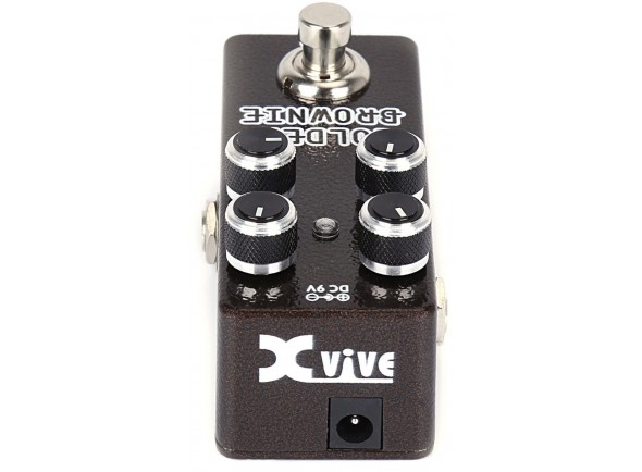xvive-t1-golden-brownie-thomas-blug_5eda6bad79fe9.jpg