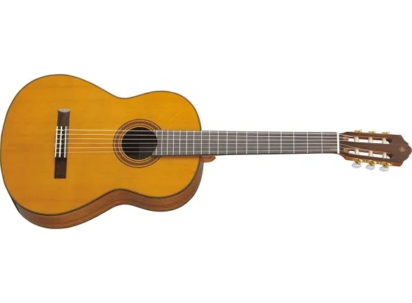 yamaha-c80_5b3df4c45ae62.webp