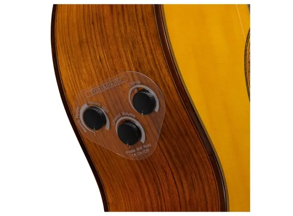 yamaha-cg-ta-nt-transacoustic_5cd5328d26bf7.webp