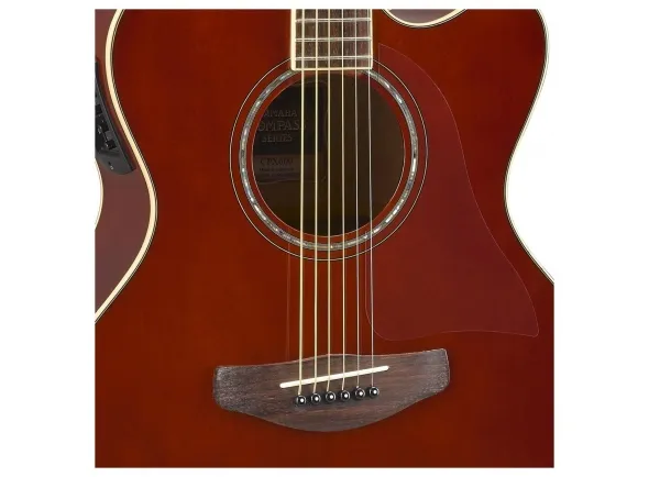 yamaha-cpx-600-root-beer_5dce82d963b0a.webp