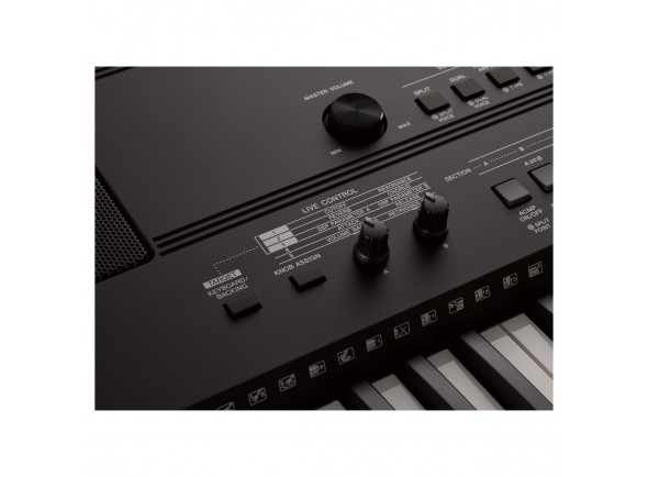 yamaha-psr-e463_609417472b85b.jpg