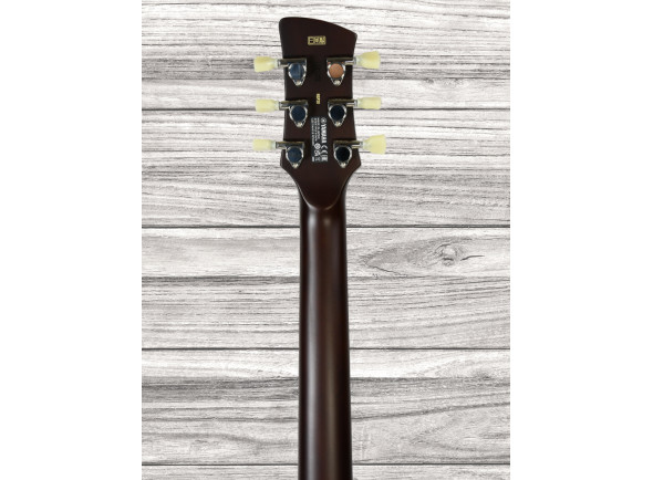 yamaha-revstar-rsp20-sunset-burst_66560aeb1ef94.jpg