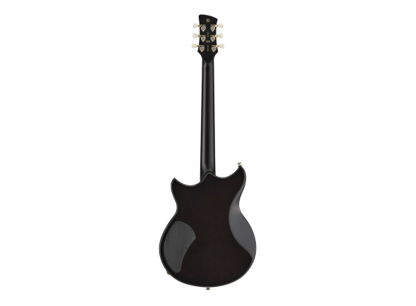 yamaha-revstar-rsp20b-60th-nbb_698a146d6bab3.jpg