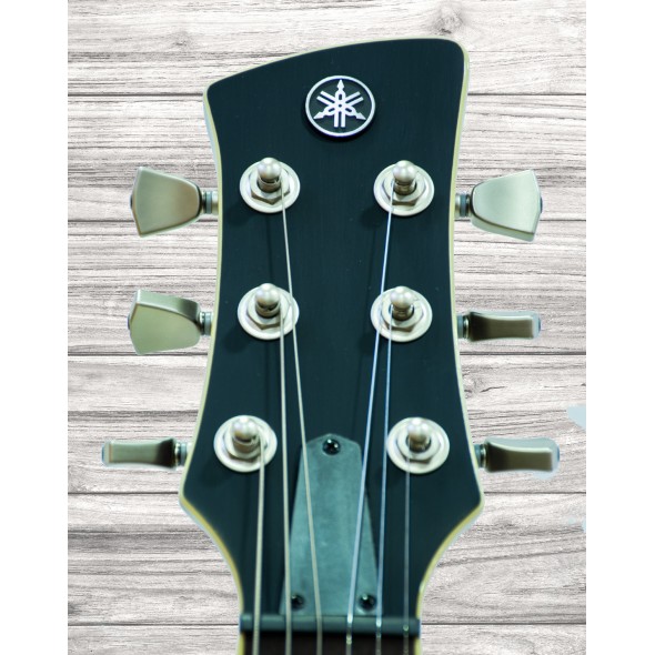 yamaha-revstar-rsp20cr-bbl-brushed-black_5ed0f9efbaa5d.jpg