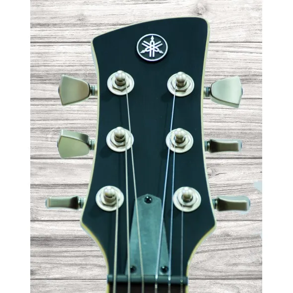 yamaha-revstar-rsp20cr-bbl-brushed-black_5ed0f9efbaa5d.webp