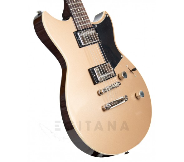 yamaha-rs420-maya-gold_5f92fa07bdb9f.jpg