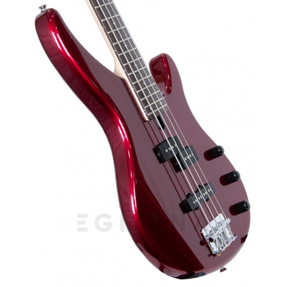 Yamaha TRBX 174 RM
