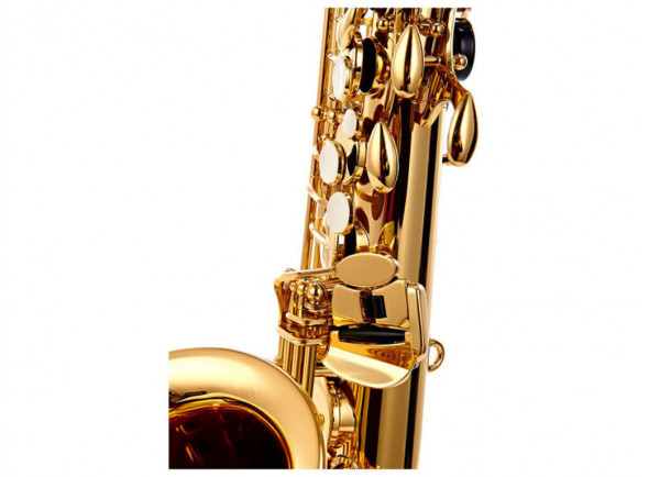 yamaha-ybs-480_620bd1dbadc92.jpg