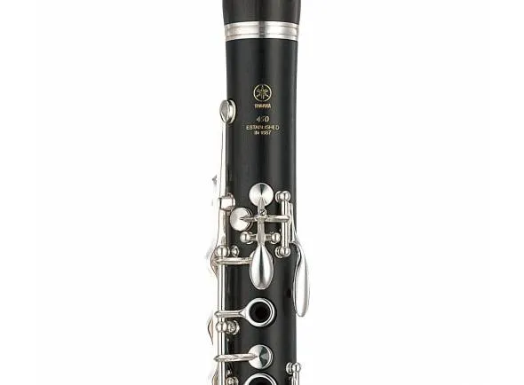 yamaha-ycl-450_5ac64cff44f48.webp