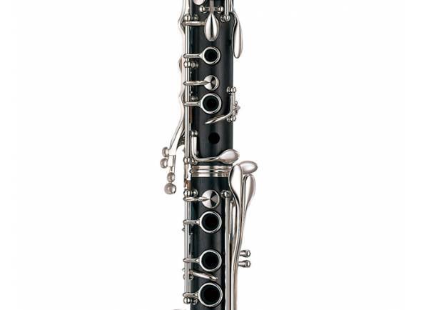 yamaha-ycl-450n_5900d7e2e05e9.jpg