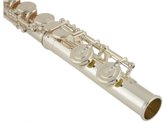 yamaha-yfl-312_5b39e757d6f08.jpg