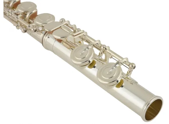 yamaha-yfl-312_5b39e757d6f08.webp