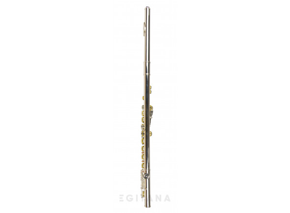 yamaha-yfl-372_60911c1a4560a.jpg