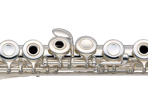 yamaha-yfl-577h_5b6ab9294a2c6.jpg