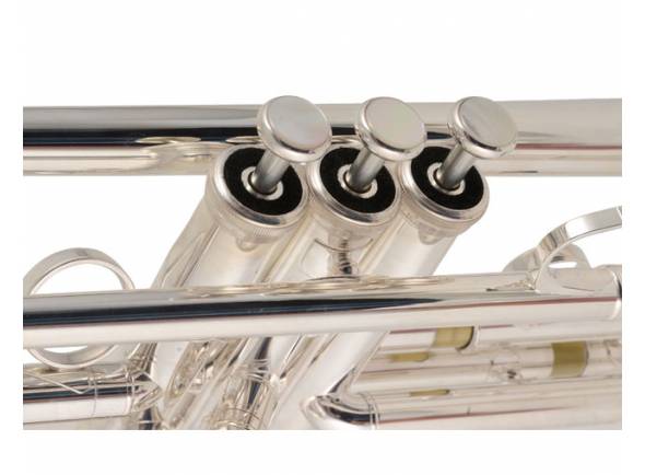 yamaha-ytr8345rgs-02-xeno_590b6095c5d6a.jpg