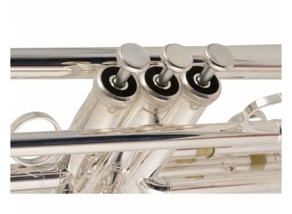 yamaha-ytr8345rgs-02-xeno_590b6095c5d6a.webp