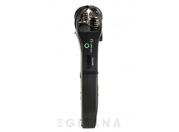zoom-h1n_608ff708ef83d.webp