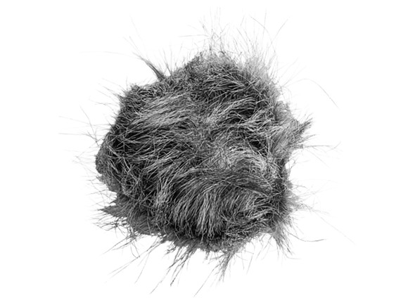 Escudo de viento del micrófono Zoom