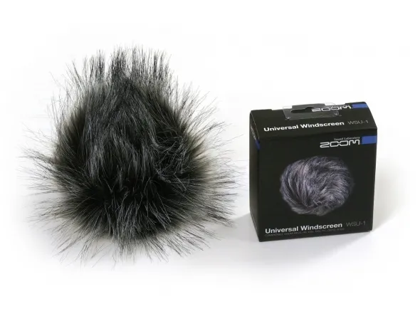 zoom-wsu-1_5b3cf6b6dbb08.webp